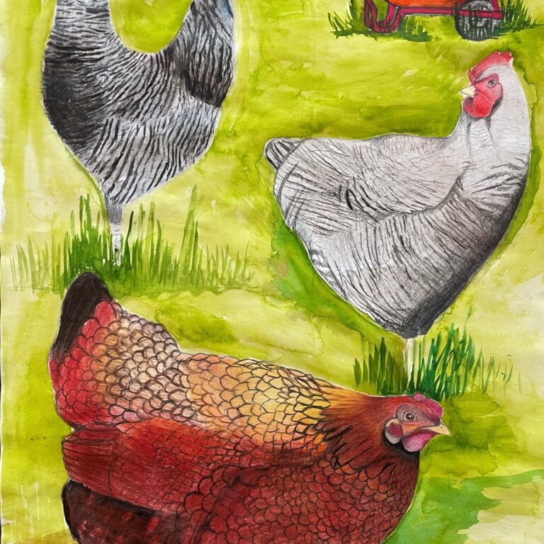 chickens in an art piece